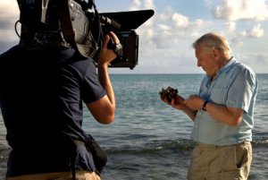 David Attenborough It's a Wonderful World David Attenborough It's a Wonderful World